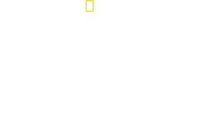Drogas S/A — Logos 3