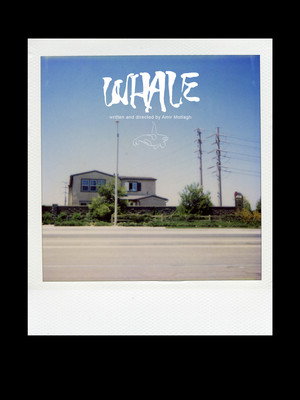 Whale 3