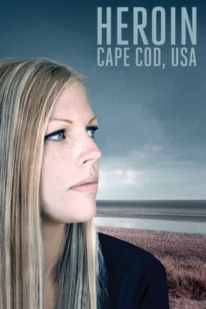 Poster Heroin: Cape Cod, USA 2015