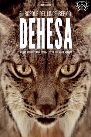 Dehesa, el bosque del lince ibérico