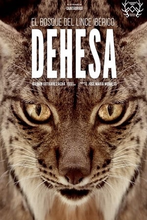 Poster Dehesa: el bosque del lince ibérico 2020