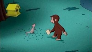 Curious George Creatures of the Night