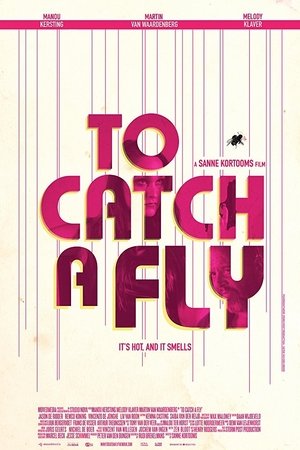 Poster To Catch a Fly (2017)