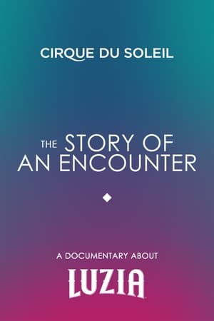 Poster The Story Of An Encounter (2016)