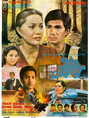 Poster นี่หรือมนุษย์ 1982