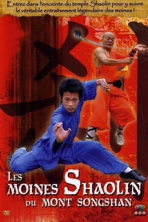Poster Les moines Shaolin du Mont Songshan 2007