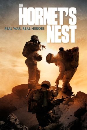 Poster The Hornet's Nest 2014