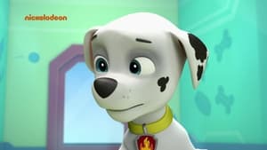 La Patrulla Canina Temporada 1 Capitulo 9