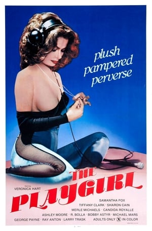 Poster The Playgirl 1983