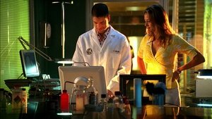 CSI: Miami Temporada 5 Capitulo 22