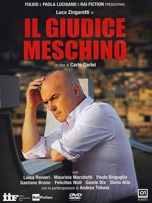 Poster Il giudice meschino 2014