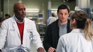 Grey's Anatomy Season 7 :Episode 15  Golden Hour