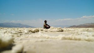 Image Death Valley: Life Blooms