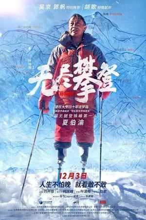Poster 无尽攀登 2021