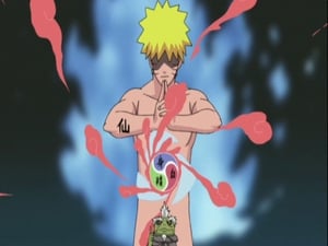 Naruto Shippuden Episódio 154 – Decodificação