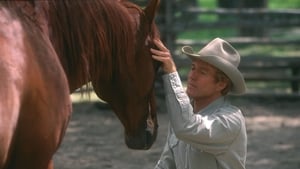 The Horse Whisperer (1998)