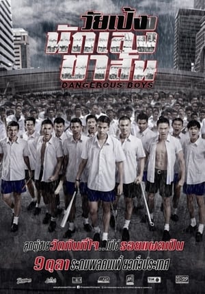 Poster Dangerous Boys 2014