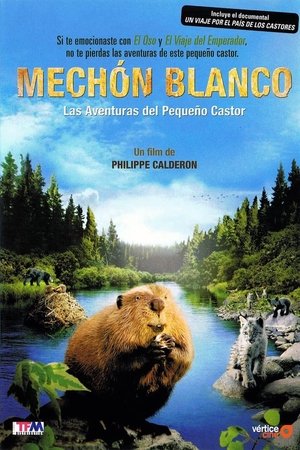 Mechón blanco, las aventuras del pequeño castor