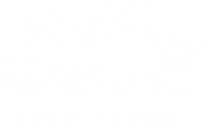 O Desabrochar de um Sonho — Logos 4