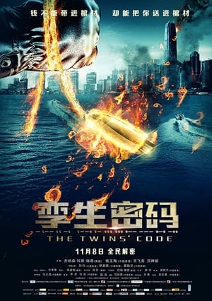 Poster 孪生密码 2013