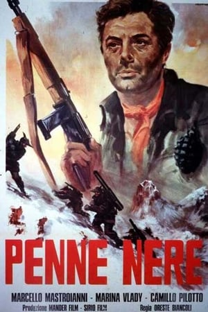 Poster Penne nere 1952