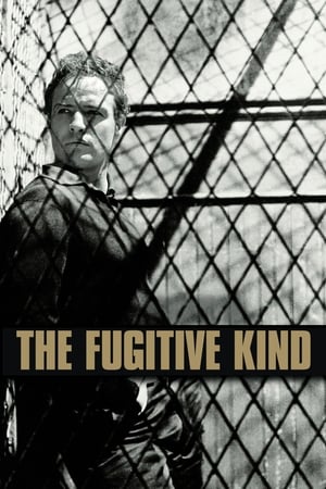 Click for trailer, plot details and rating of The Fugitive Kind (1960)