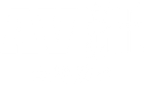 O Diretor Nu — Logos 4