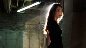 Nikita (2010) – Television