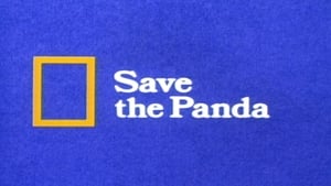 Save the Panda film complet