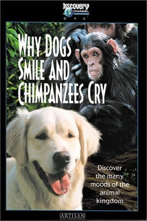 Poster Why Dogs Smile and Chimpanzees Cry 1999