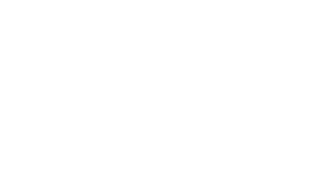 L'Incroyable Cirque Numérique
