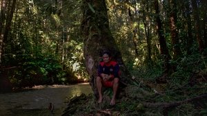 Uprooted – The Olympic Tribe Online En Netflix