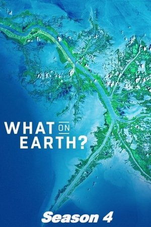 What on Earth?: Seizoen 4