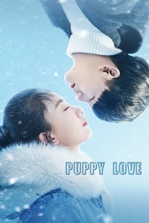 Poster Puppy Love (2017)