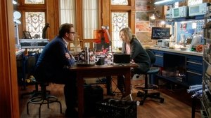 Bull 1×10