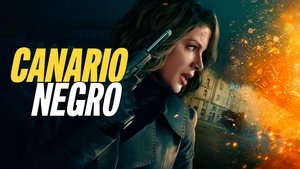 Images posters