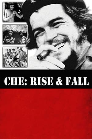 Image Che: Rise and Fall