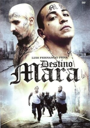 Poster Destino Mara 2010