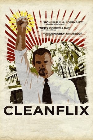 Poster Cleanflix 2009