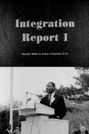 Integration Report 1