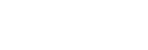 Accidente — Logos 7
