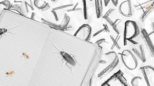 Still from Insecticide