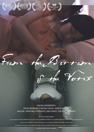 Poster From the Bottom of the Vortex (2015)
