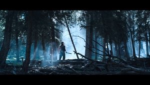 Tucker and Dale vs. Evil ( 2010 )