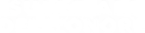 Sulle ali dell'onore (2022) Streaming official logo