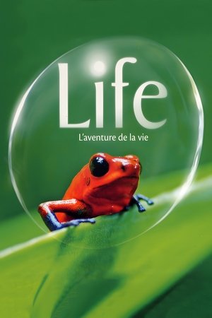 Image Life, l'aventure de la vie