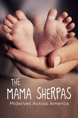 Image The Mama Sherpas