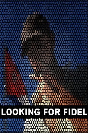 Looking for Fidel poster