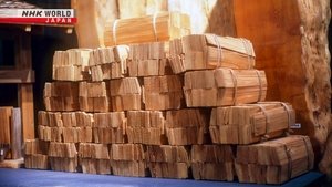 Journeys in Japan: 14×29