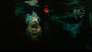 Podwodna pułapka 2: Labirynt śmierci Online fili